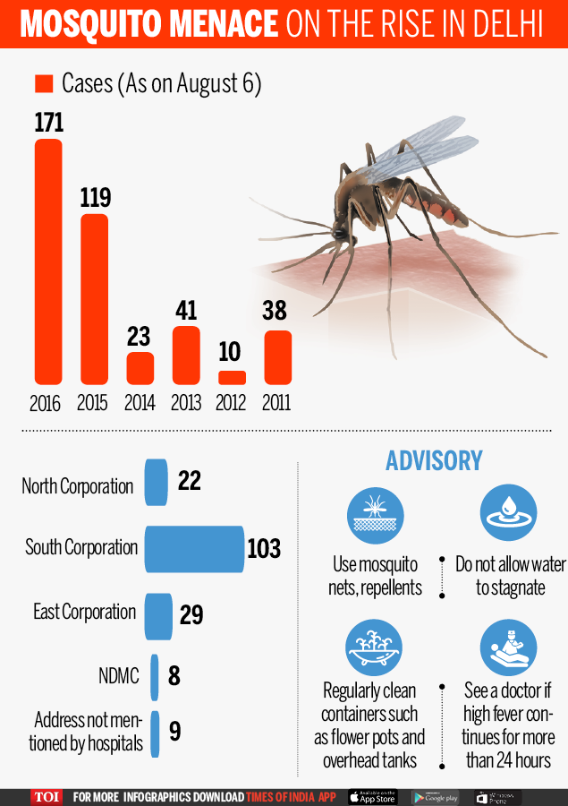 Delhi's everincreasing dengue threat India News Times of India