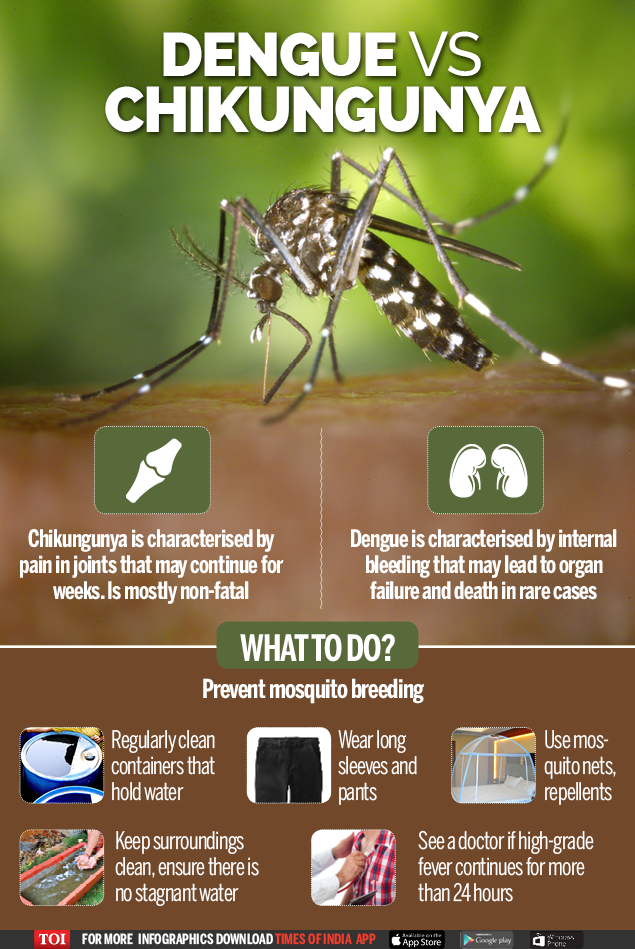 Chikungunya Cases Spells Trouble Too India News Times Of India