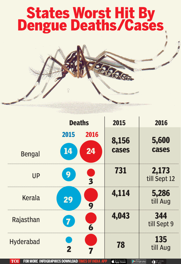 States in the grip of Dengue fever India News Times of India