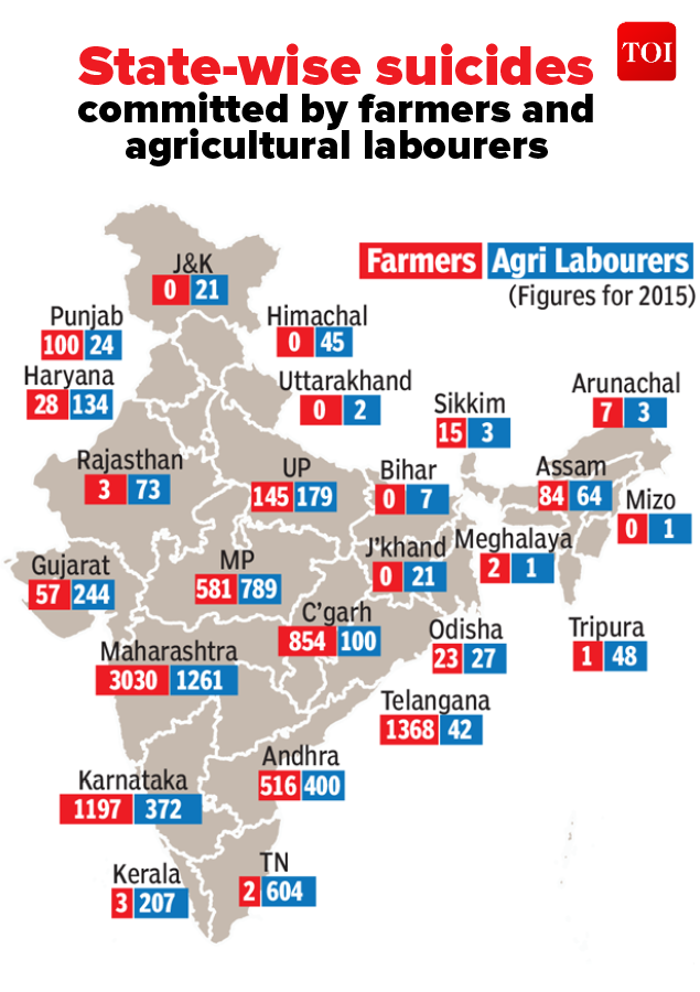 Infographic Debt Main Cause Of Over 12000 Farmers Suicides Since 2013 India News Times Of