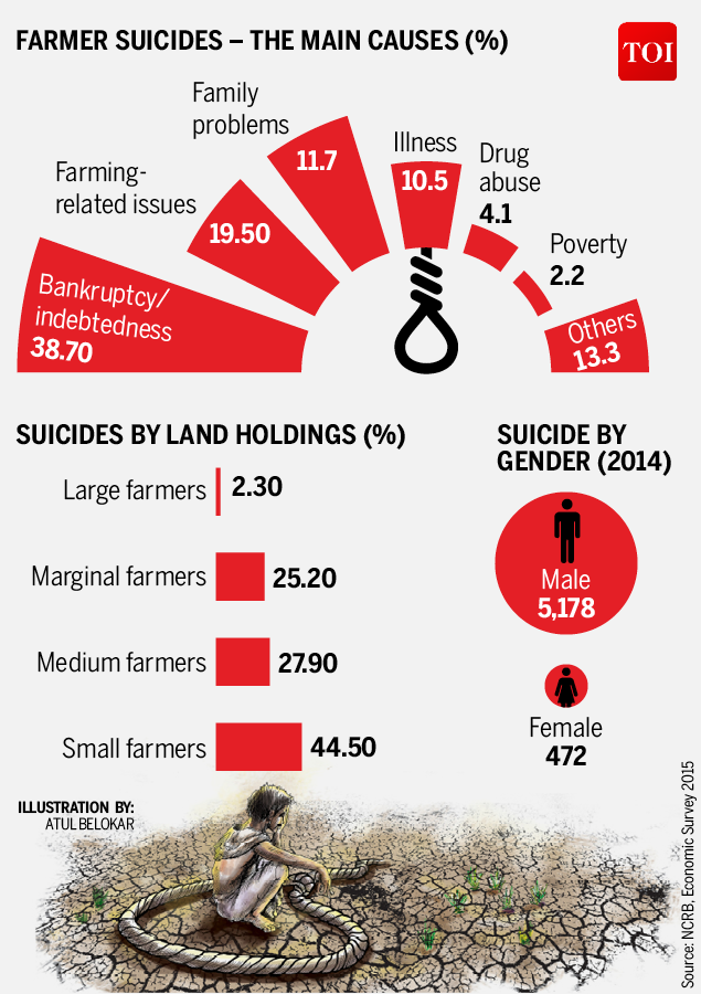 Infographic Debt Main Cause Of Over 12000 Farmers Suicides Since 2013 India News Times Of