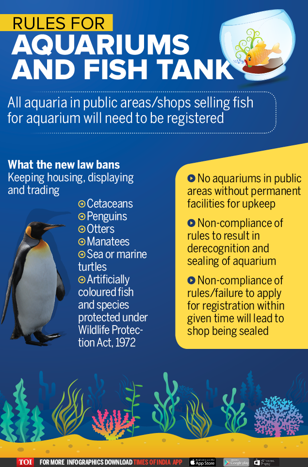 Infographic Public aquariums registry now a must to fight animal