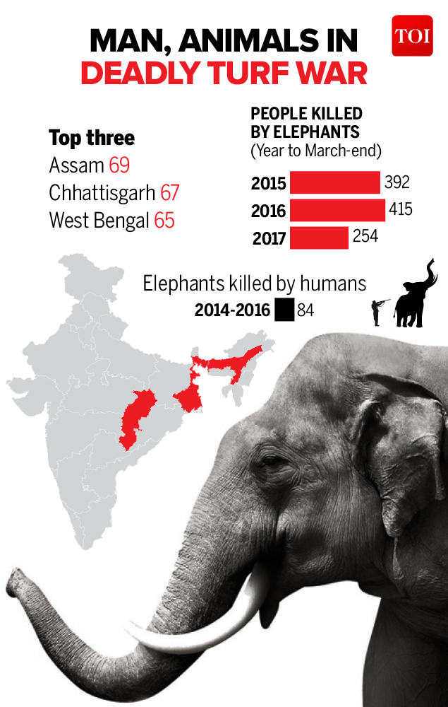 Infographic Elephants, tigers killed 1 human a day Govt data India