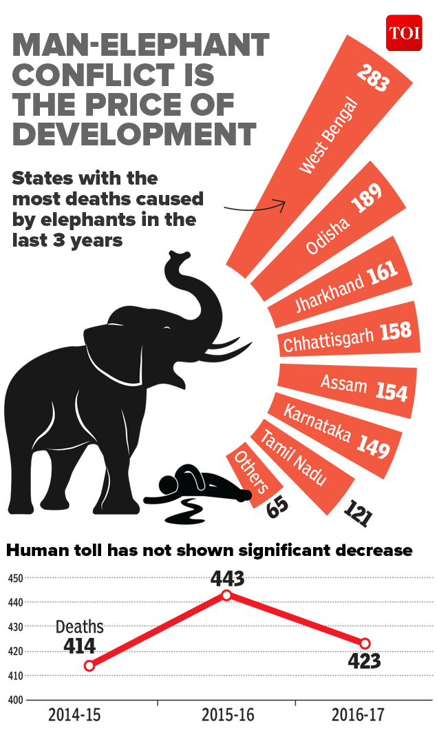 Infographic: Man-elephant conflict takes more than 1 life a day | India