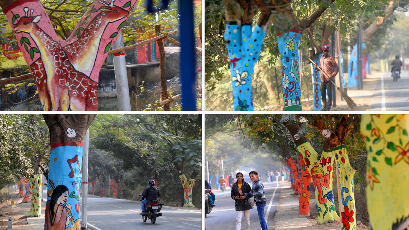 Trees never looked as colourful...