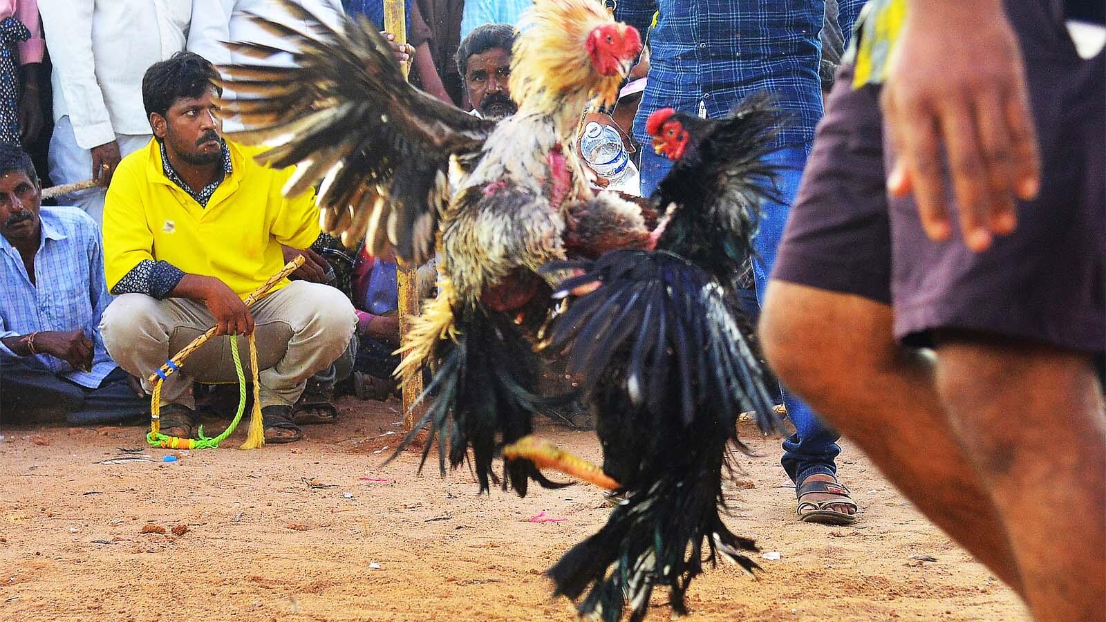Crores were wagered in three days