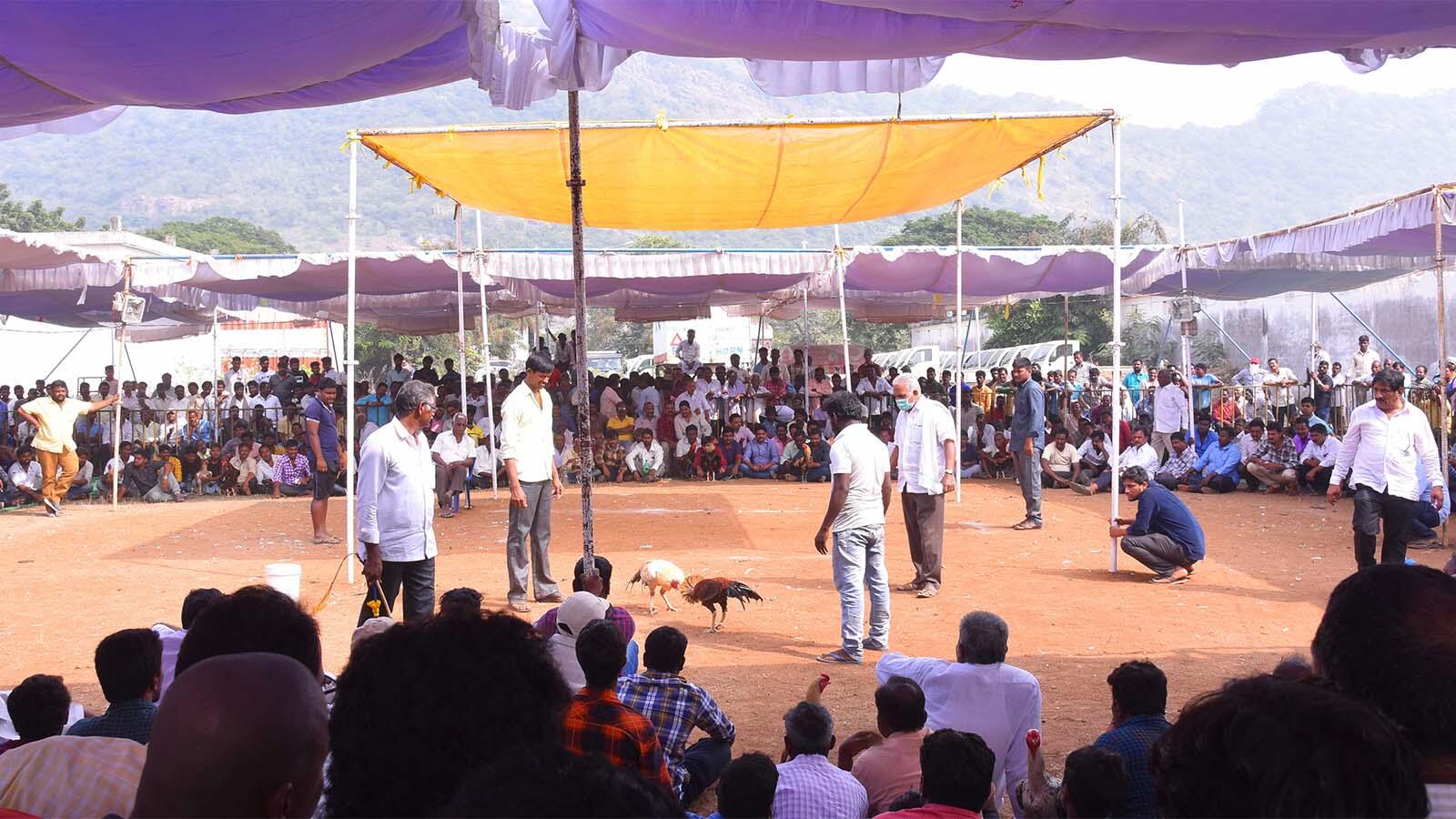 Police usually turn a blind eye to what is regarded as a tradition here