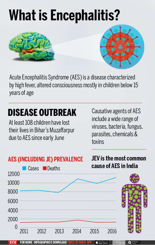 Infographic Encephalitis All you want to know India News Times of