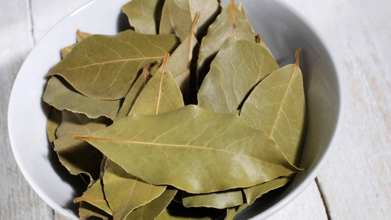​Cockroaches keep appearing in your kitchen? Put these 7 common ingredients in the places they hide<br>