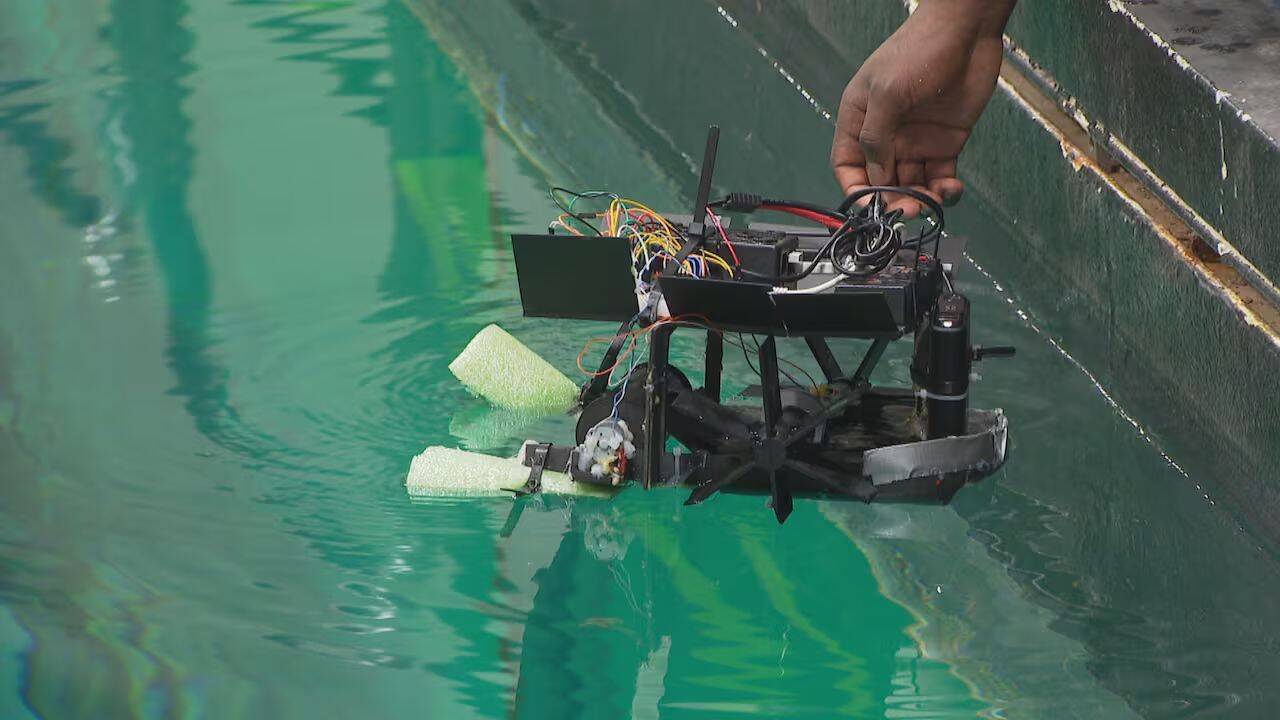 The AI robot was designed to avoid disturbing aquatic life