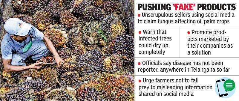 Conmen deceiving oil palm farmers in Telangana.jpg