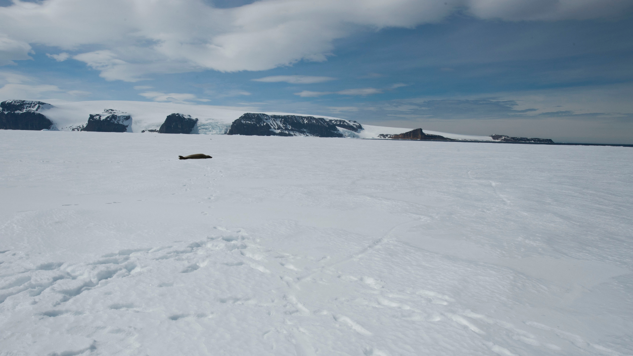 Scientists used NASA satellite measurements to reveal 14 areas of moving water beneath West Antarctica<br>