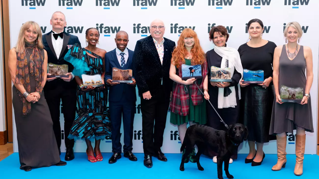 Photo credit: The International Fund for Animal Welfare (IFAW)