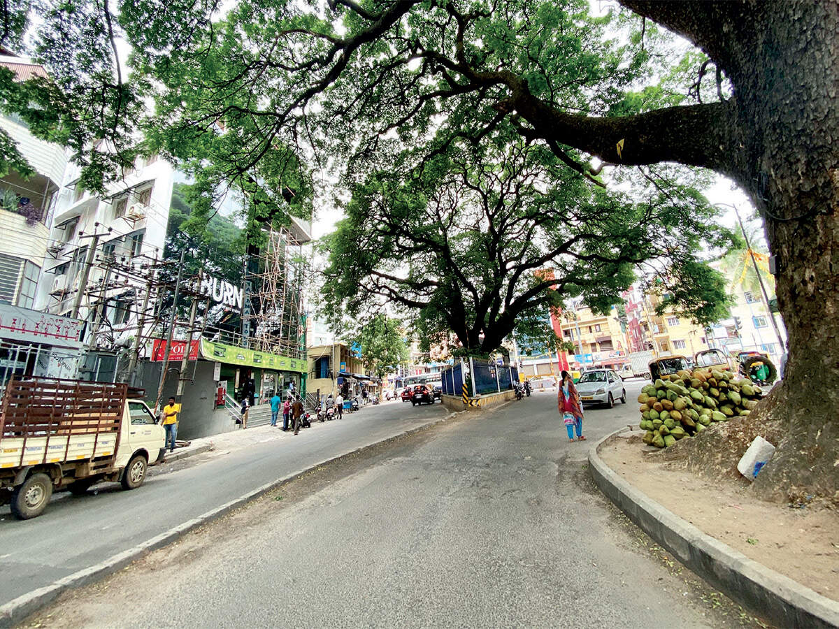 Chinese Manja Nearly Kills Woman In Richmond Town