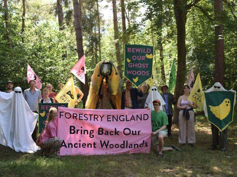 The “Rewild the Ghost Woods” campaign was backed by more than 147,000 people pushing for ancient woodland restoration.