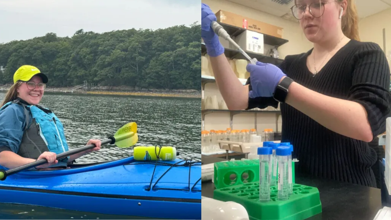 The plastic is degraded into two toxic compounds, which are then treated with a type of algae that consumes the carbon molecules in the compounds as food and converts the rest into a nontoxic material that can be used as fertilizer (Image: Davidson Institute)