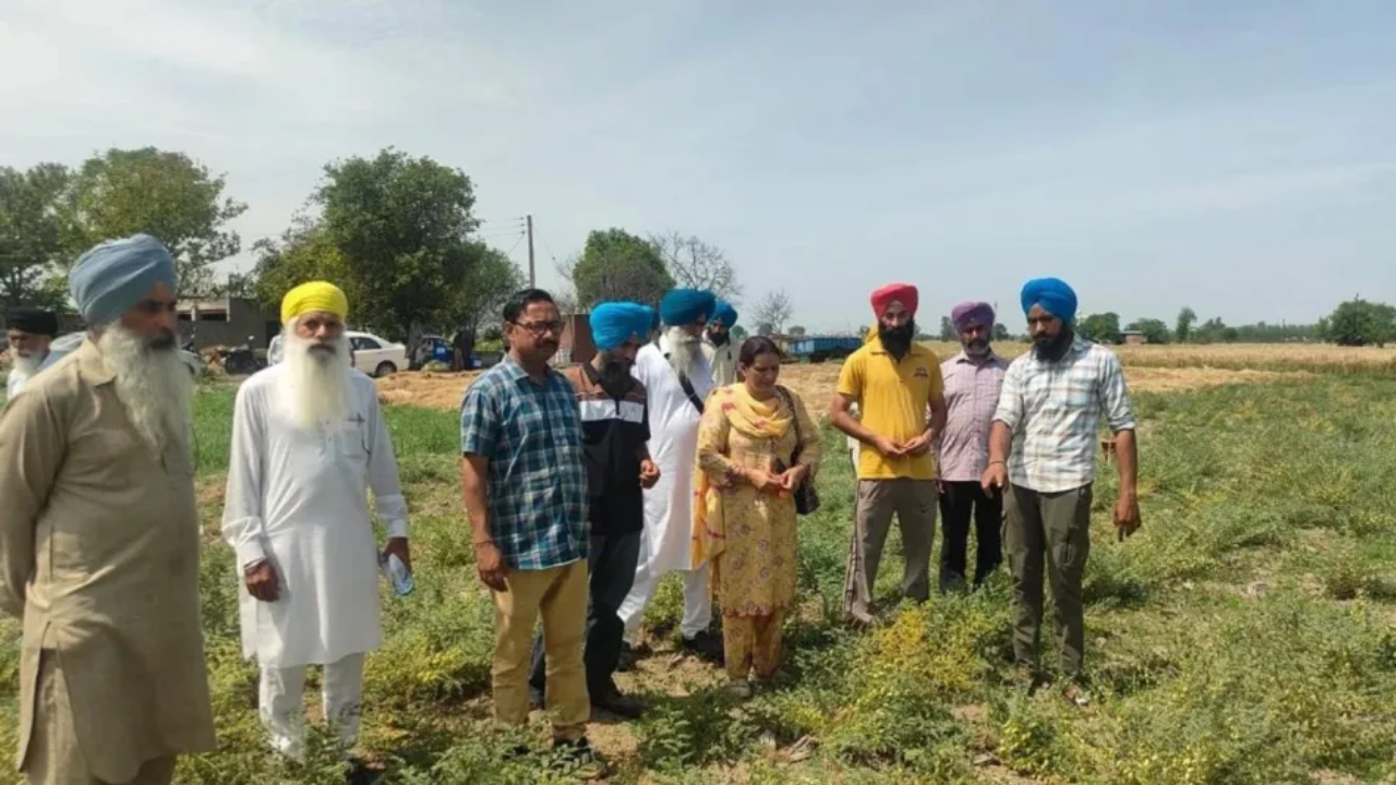 Singh sells his farm produce directly to around 50 regular customers. (Photo courtesy: The Indian Express) <br>