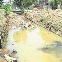 Dengue by invitation, thanks to sloppy BBMP