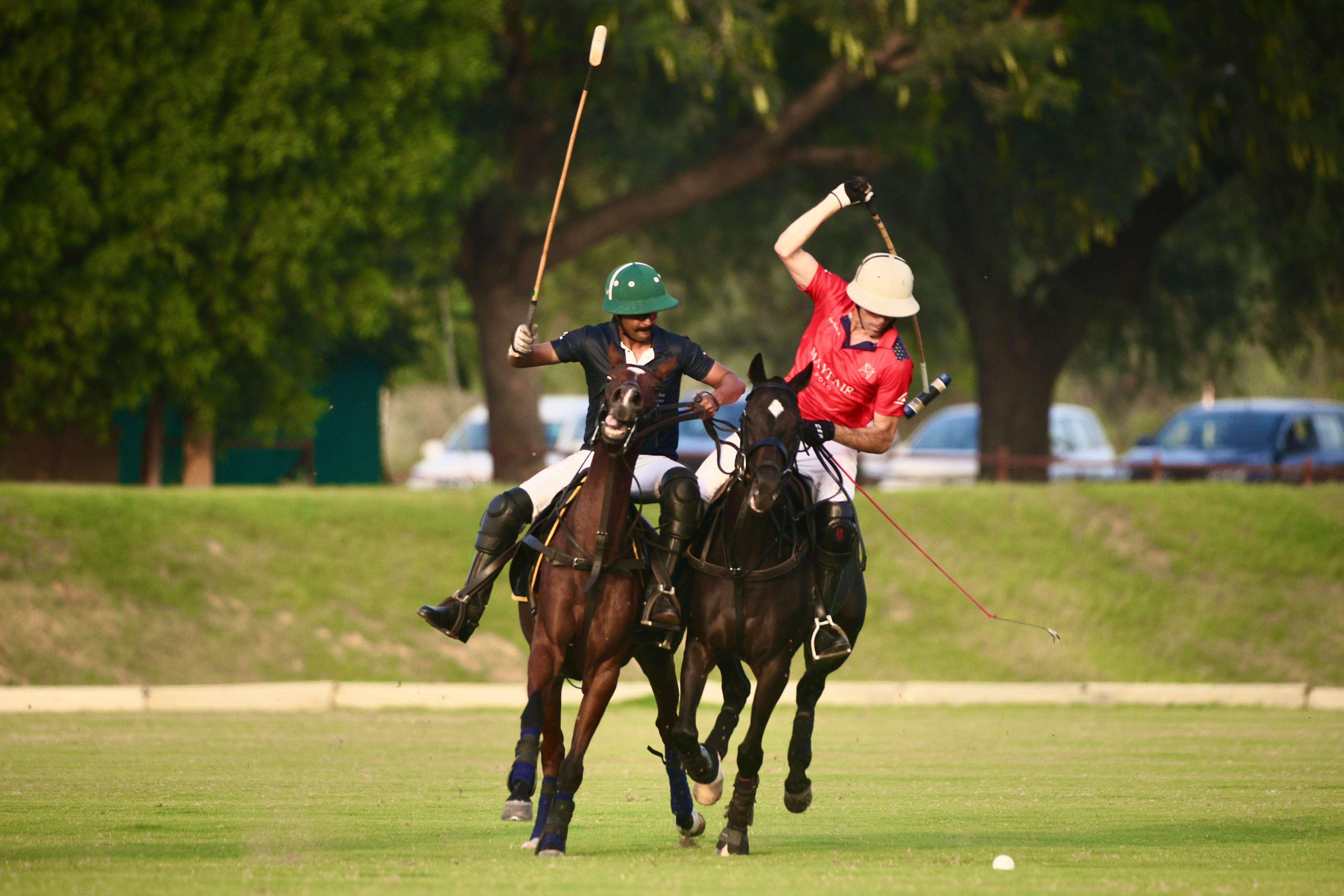 polo-2.jpg