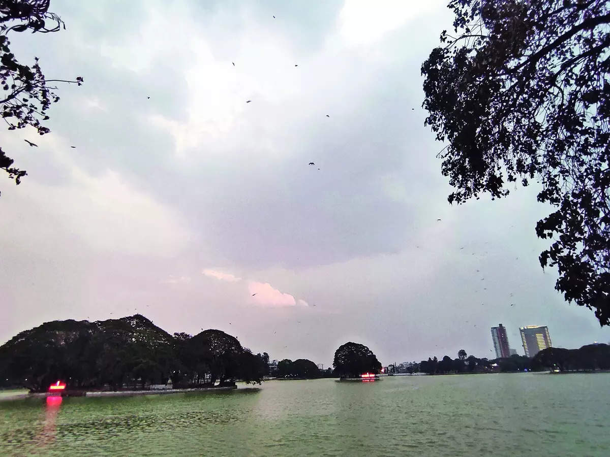 bengaluru Tap The Chatter Which lake of Bengaluru is ideally maintained and what changes have