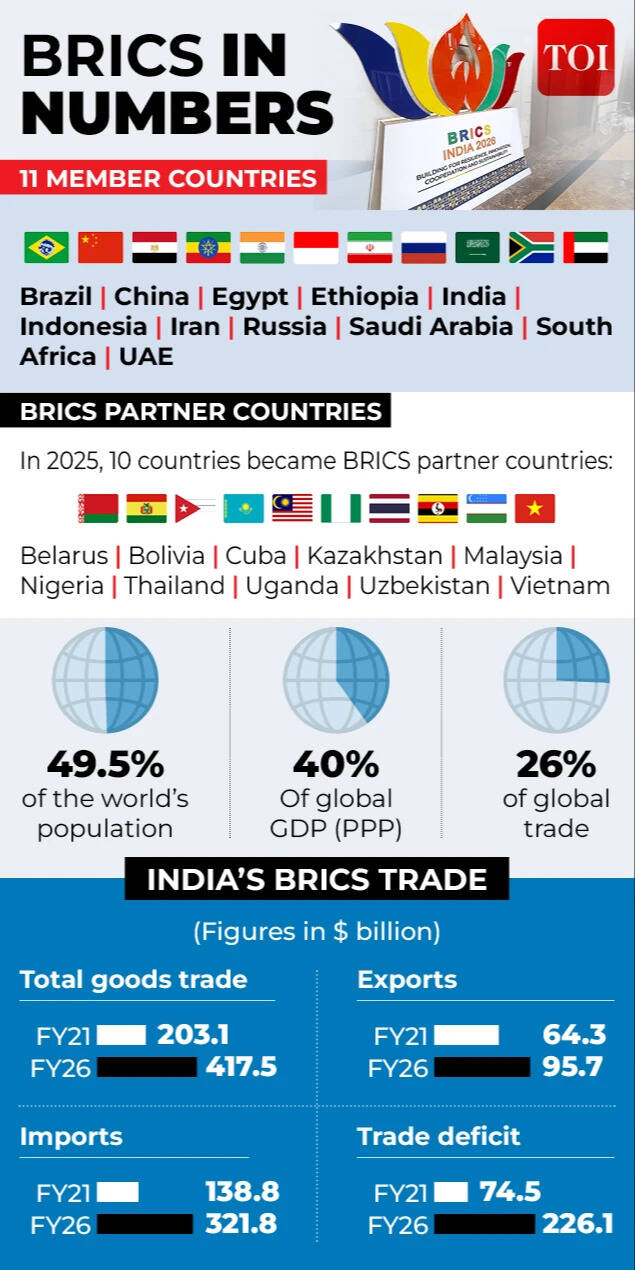 Brics in numbers