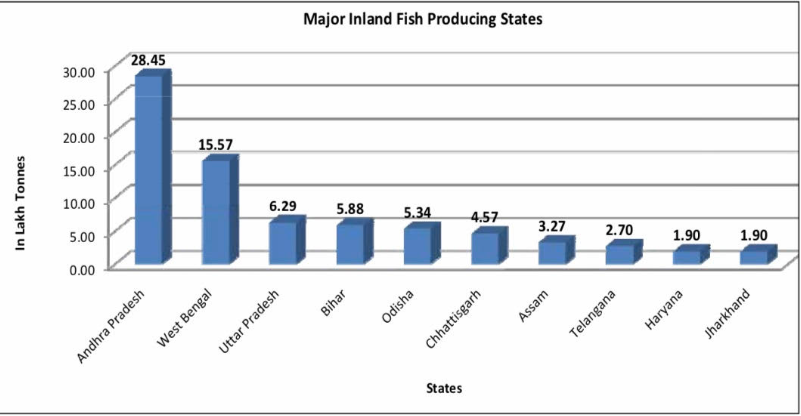 fish export business plan in india