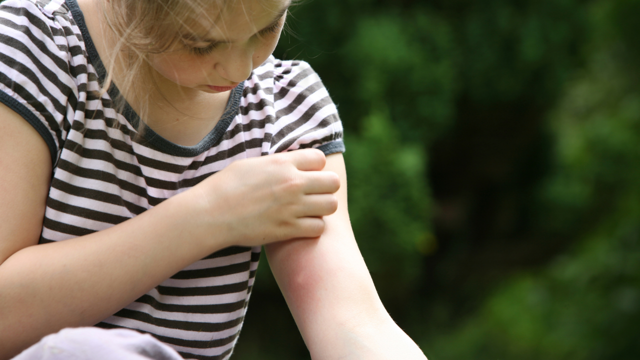 If mosquitoes seem to favour you over your friends or family, your blood type could be one factor, but it is unlikely to tell the whole story.