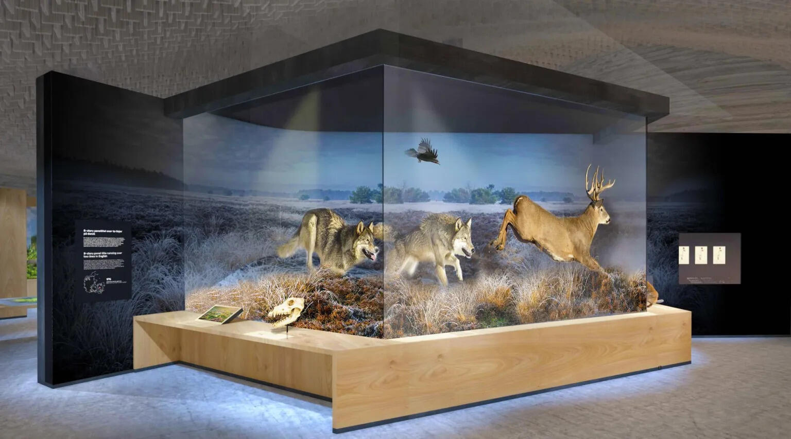 Interactive 3D exhibits will allow visitors to explore detailed digital scans of specimens.