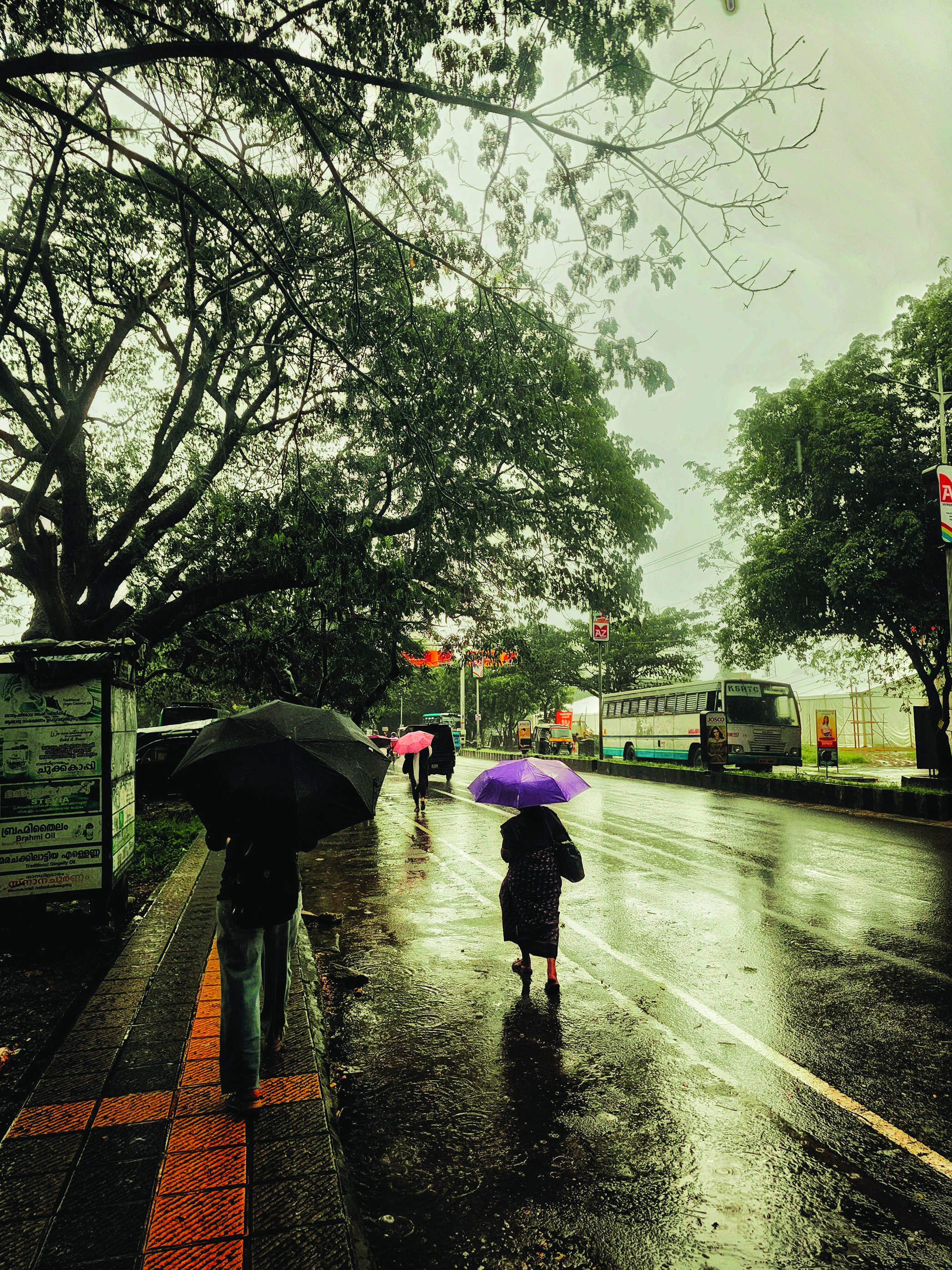 Bengaluru Declared Drought-Prone as August Rainfall Drops