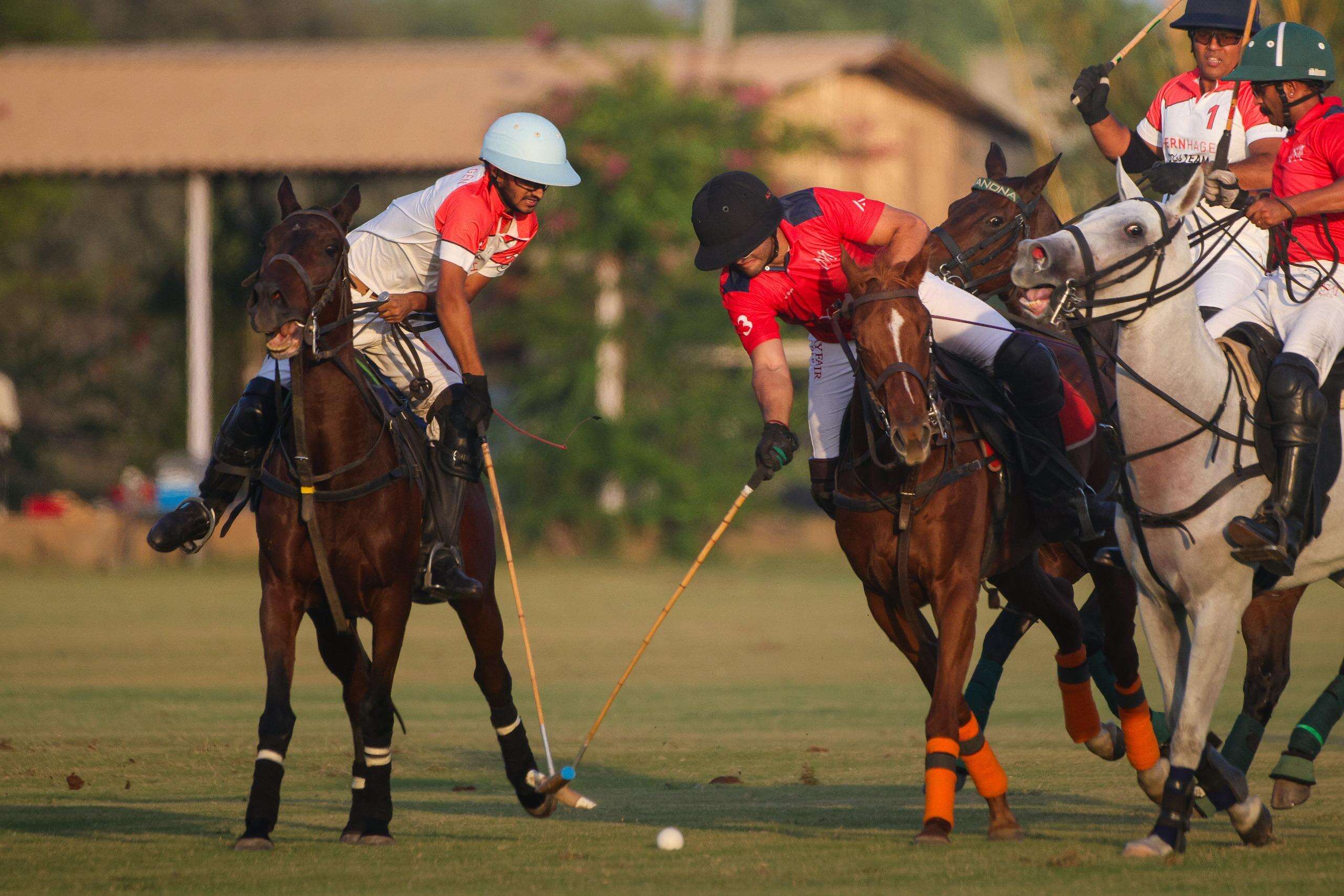 polo-2.jpg
