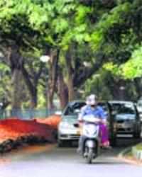 Running away from Cubbon Park