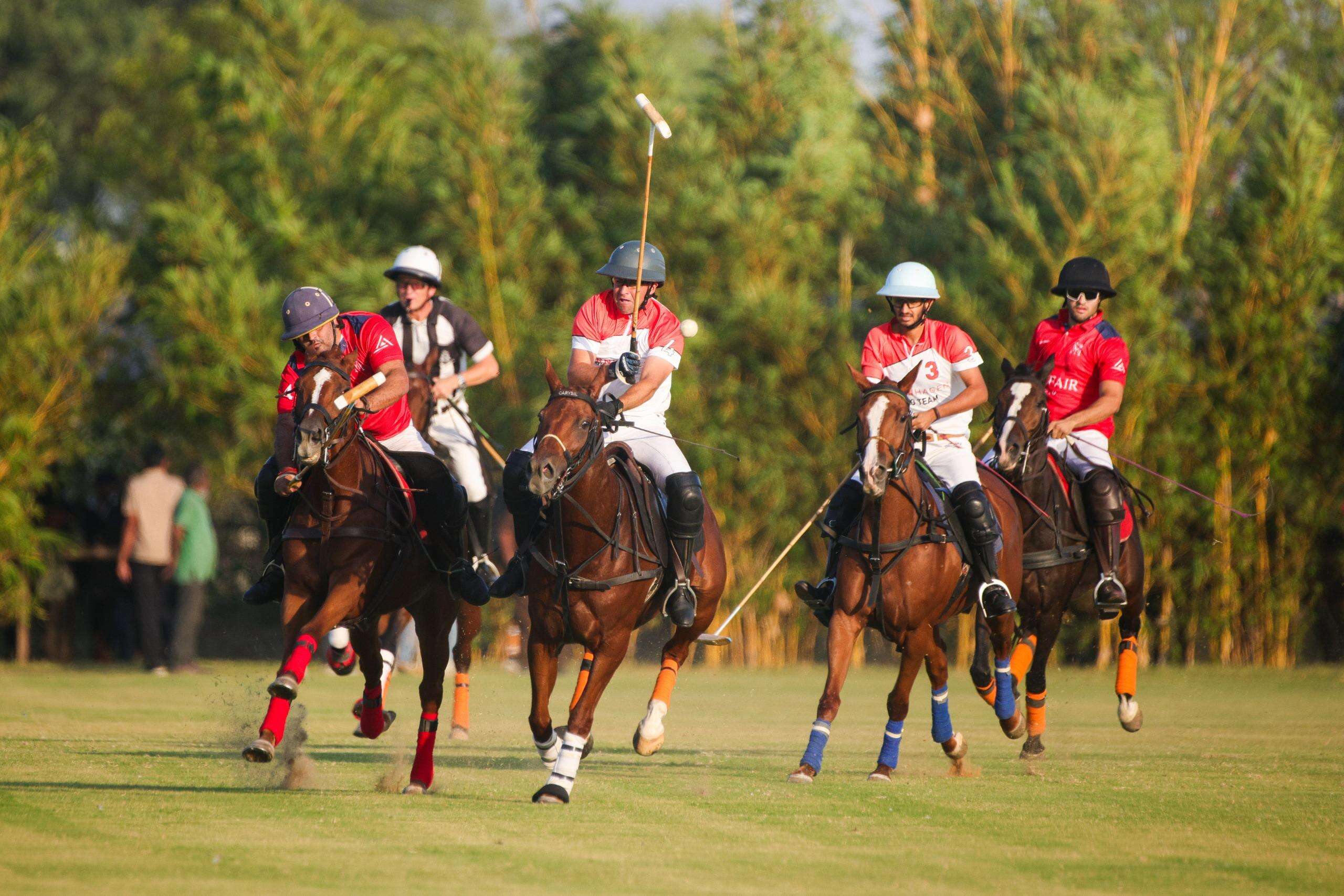 polo-3.jpg