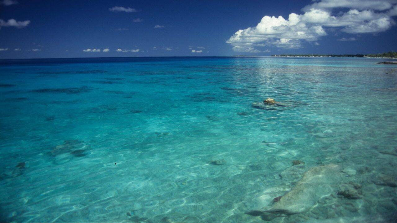 How did floating solar platforms reduce seabed light