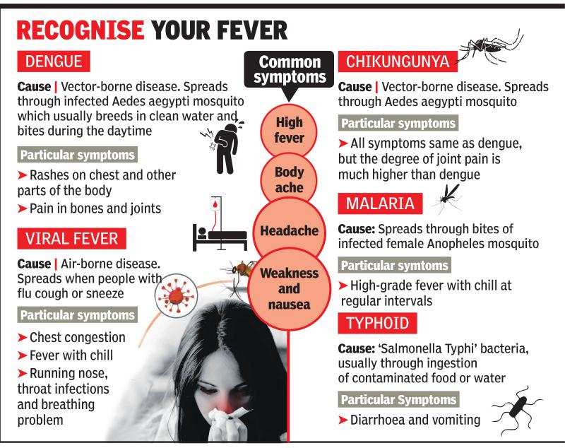 Dengue Same Symptoms Trigger Confusion Over Fever In Lucknow Lucknow News Times Of India