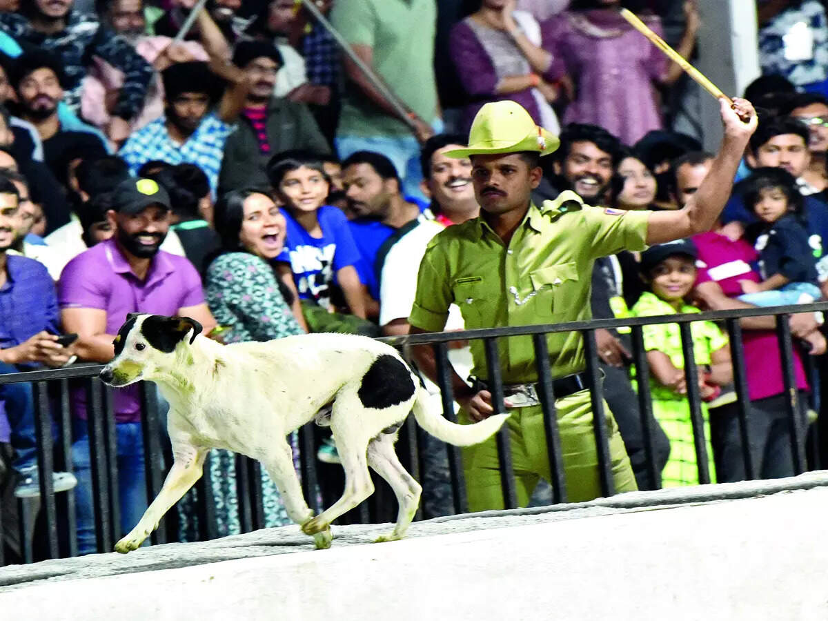 Animal Welfare Board's letter on ABC scheme 'uncalled for' - Vimarsana News