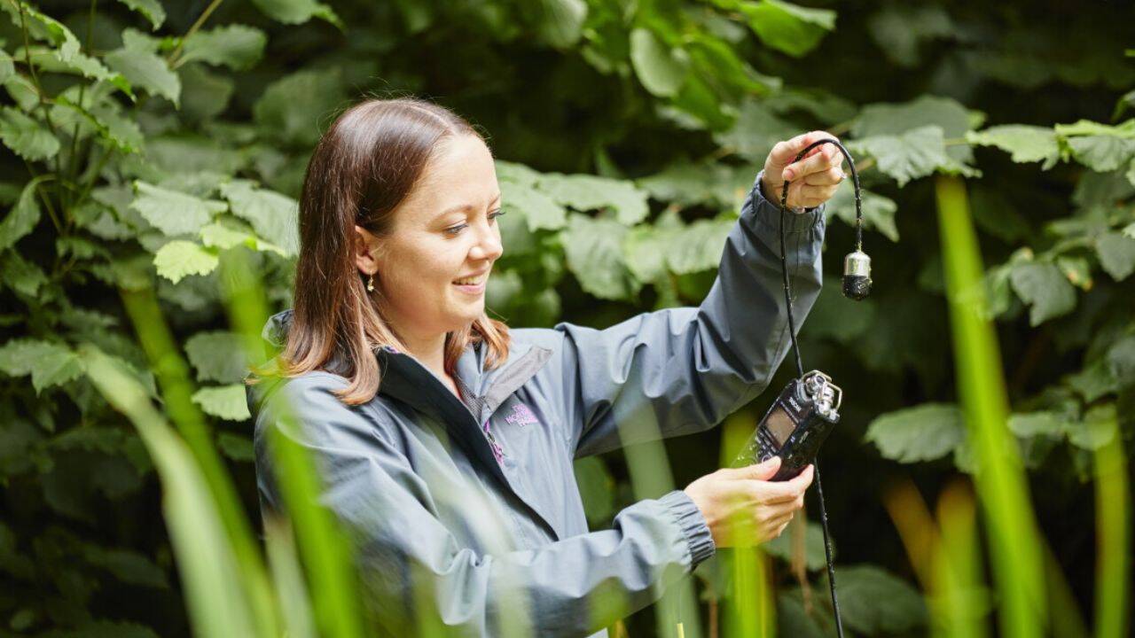 How are 11 million environmental records being collected in the garden