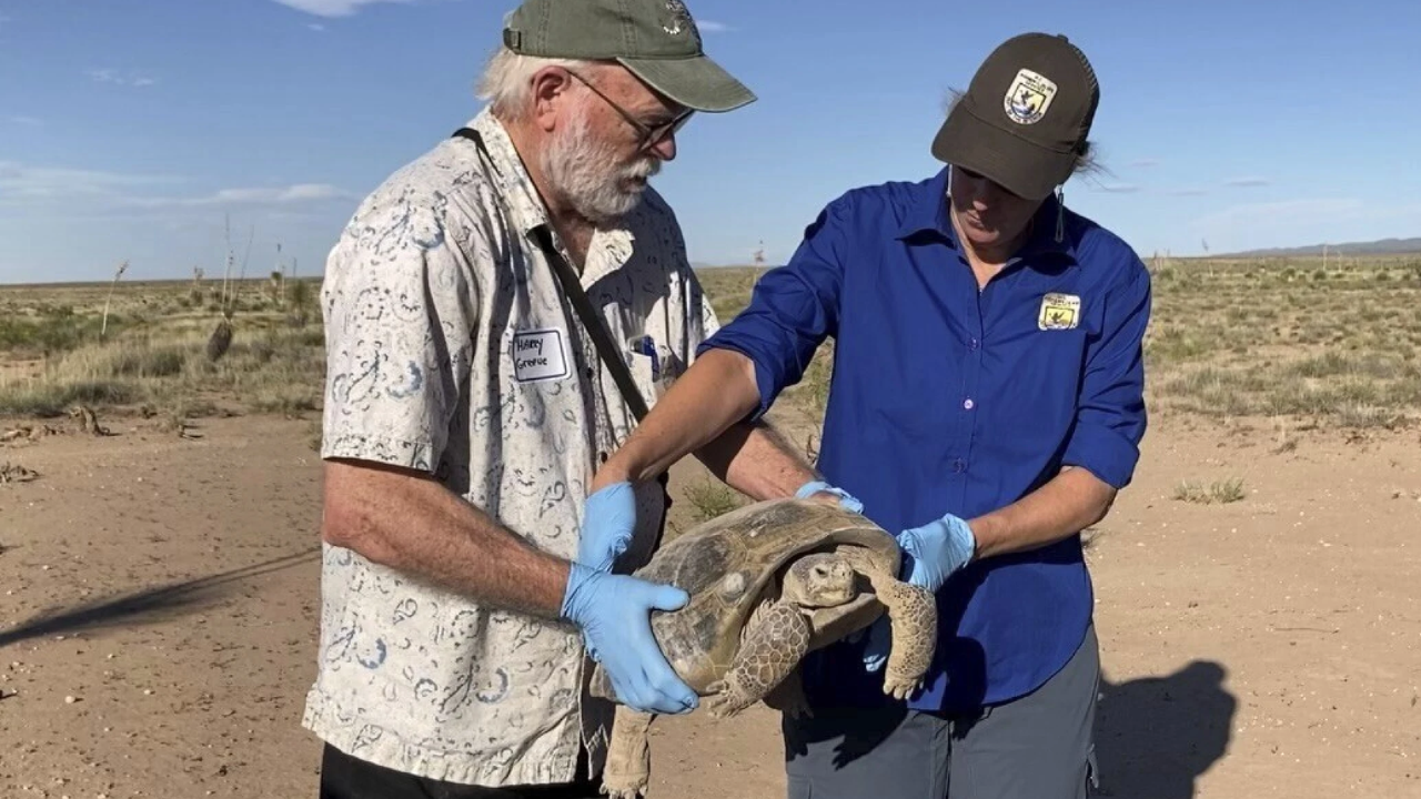 Ted Turner’s conservation effort began with just 30 Bolson tortoises<br>