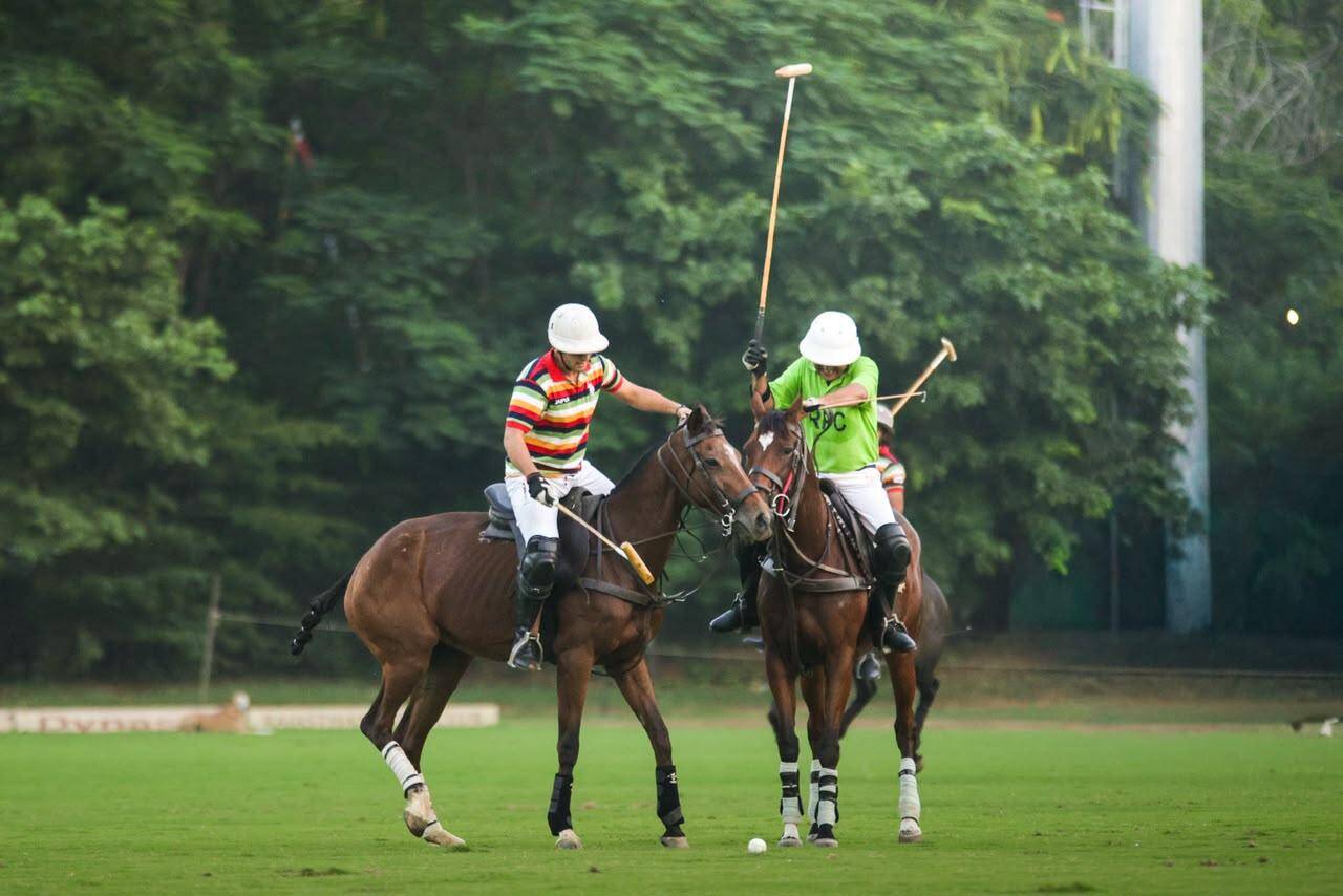 polo-2.jpeg
