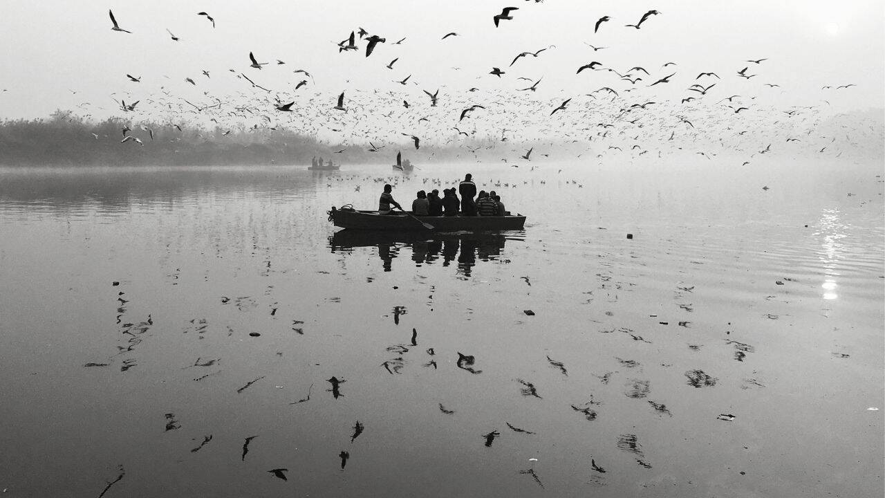 Yamuna river