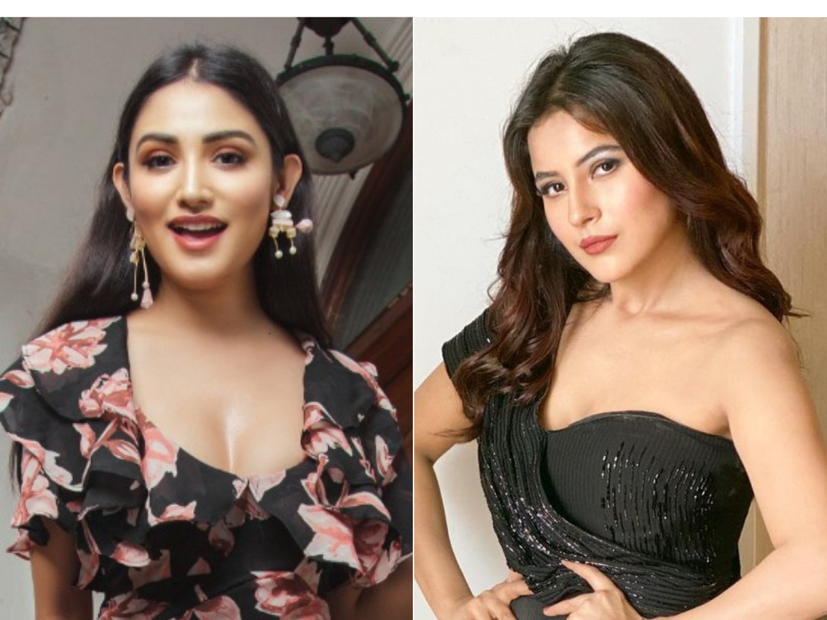 Donal Bisht says no one can replace Shehnaaz Gill amid demands of