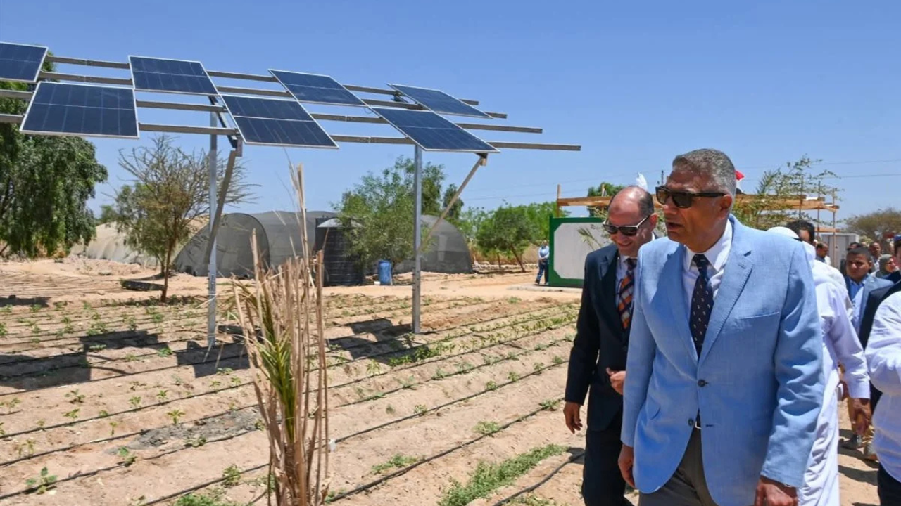 How solar panels are being combined with desert farming<br>