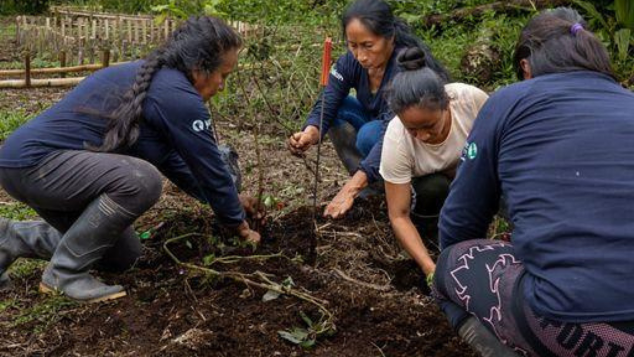 Indigenous women are putting conservation into everyday life.<br>