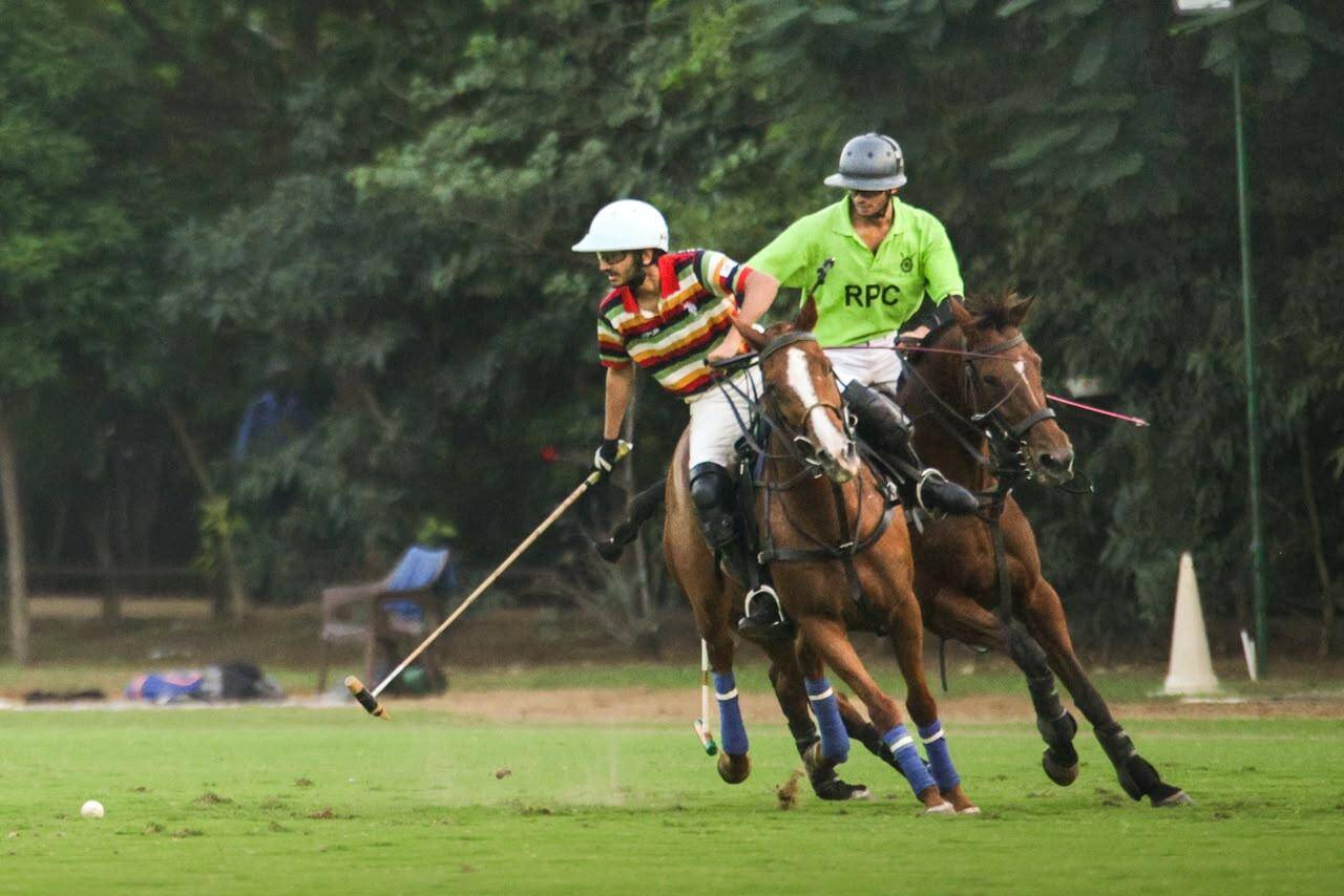 polo-1.jpeg