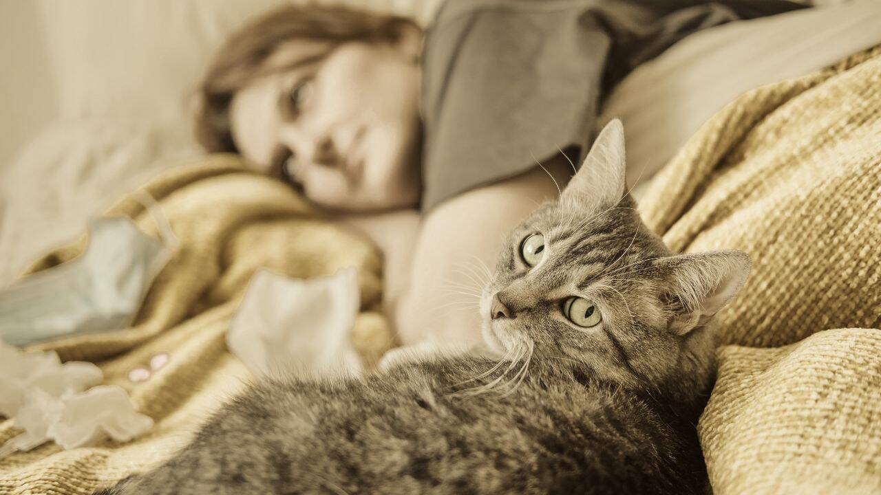 Sleeping with your pet is not a psychological red flag<br>