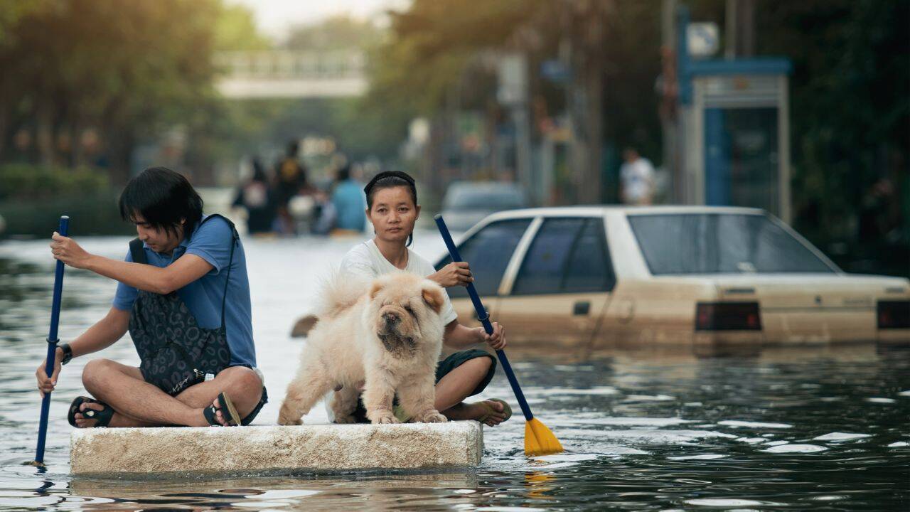 bangkok flood 2011