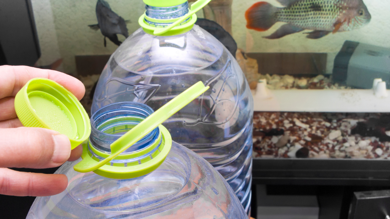 One of the easiest ways to freshen up an aquarium is through partial water changes