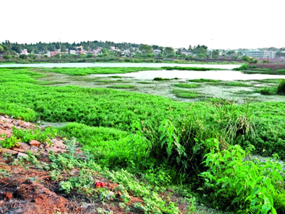 Desperate plea for restoration of Banaswadi Lake