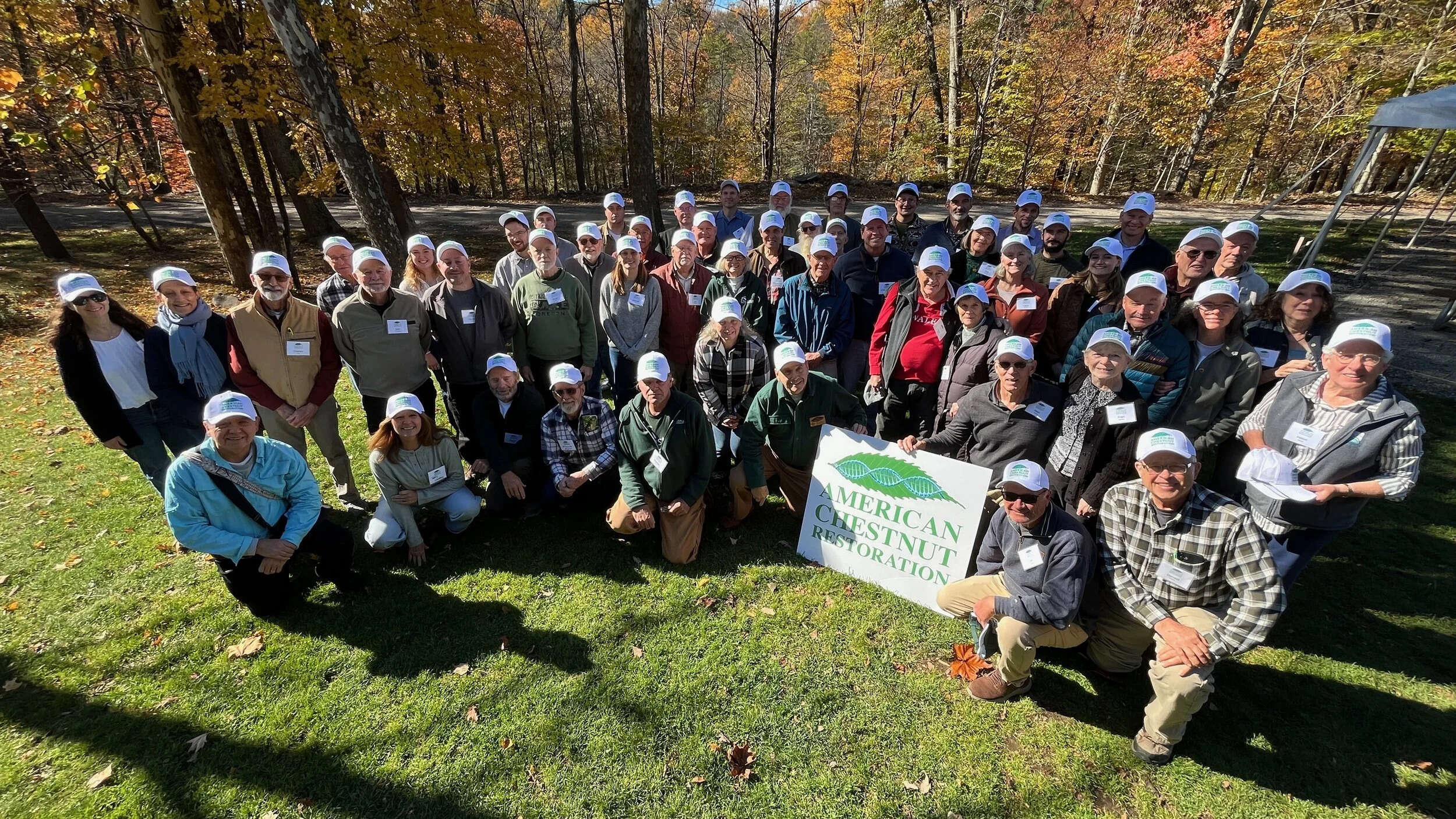 New York City is expanding efforts to restore the American chestnut, with 25 hybrid saplings now planted at the Bronx Zoo as part of a wider conservation drive.