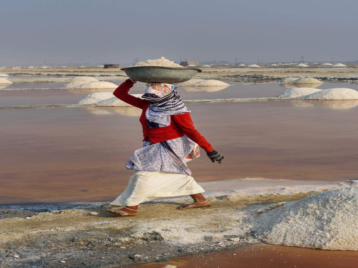 Sambhar Lake, Rajasthan