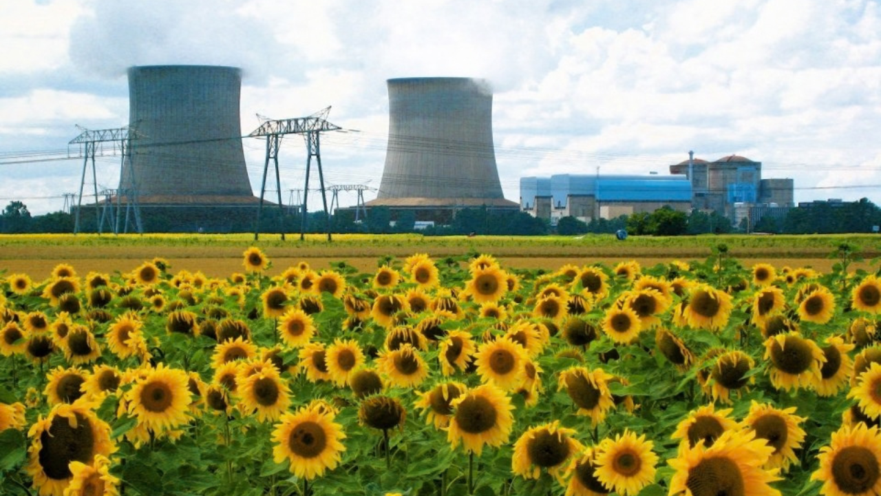 Chernobyl's contaminated pond experiment<br>